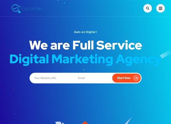 Digitaliin - SEO & Website Design Agency | Digital Marketing Company In Jaipur
